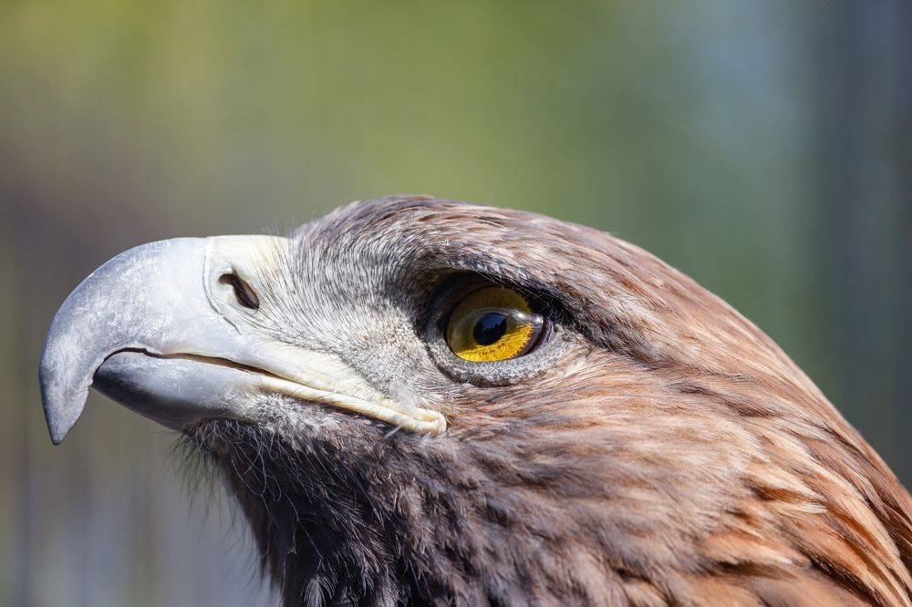 Photograph by Валентин Колинько