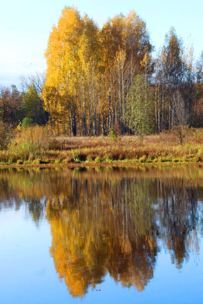 Photograph by Николай Николаевич Леухин