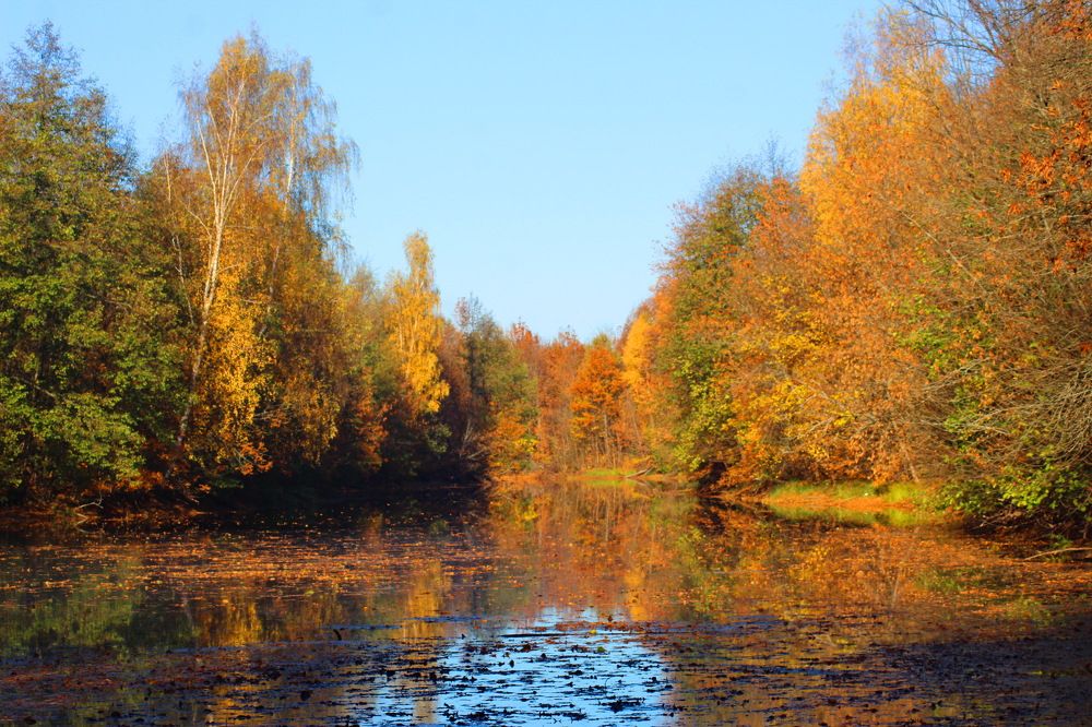 Photograph by Николай Николаевич Леухин