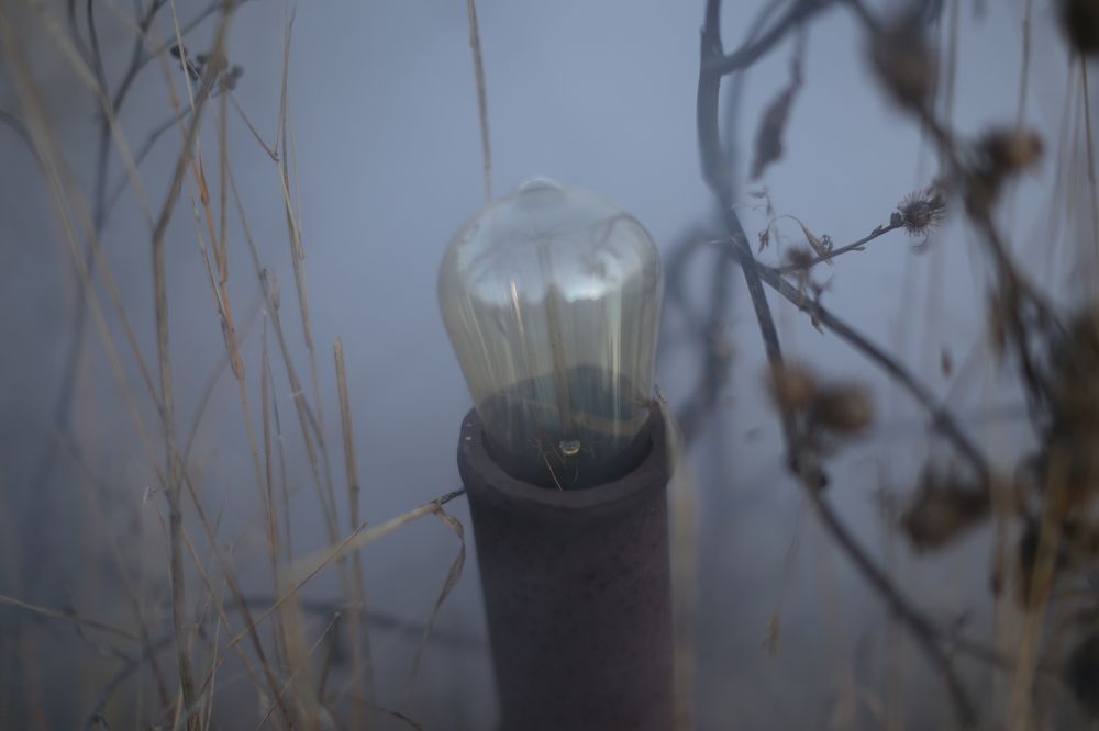 Photograph by Евгения