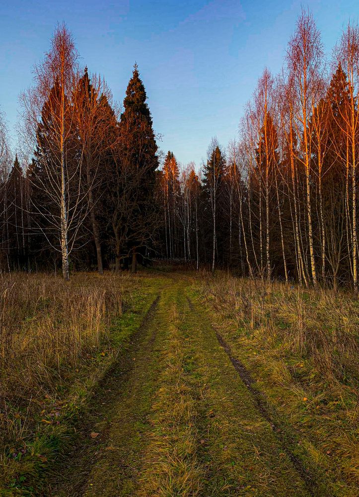 Photograph by Максим Комиссаров