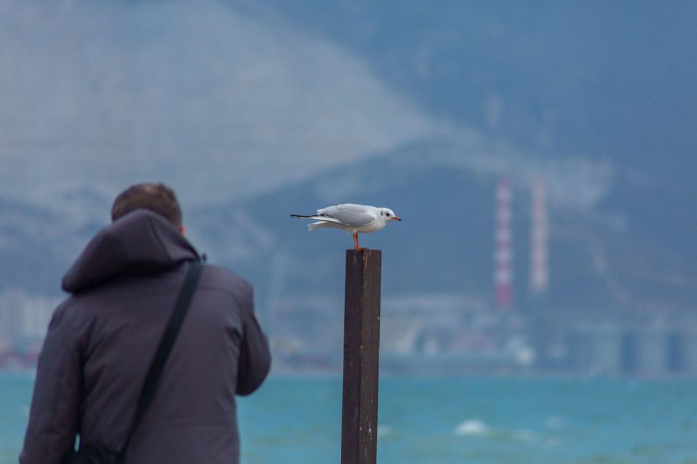 Photograph by Раиса Алексеева