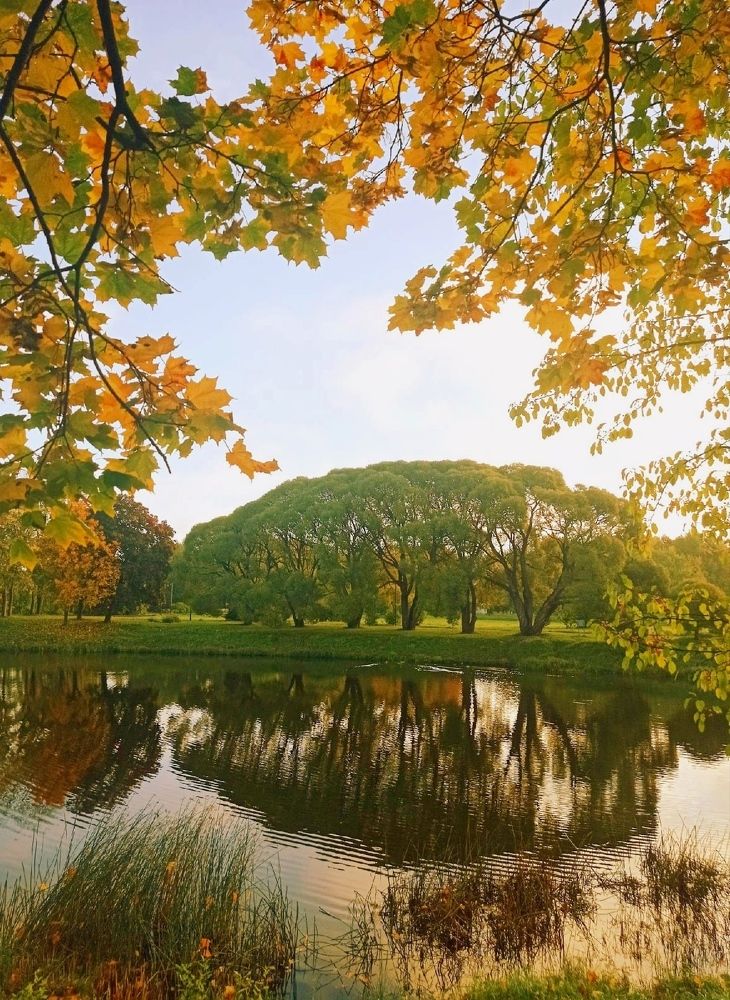 Photograph by Надежда