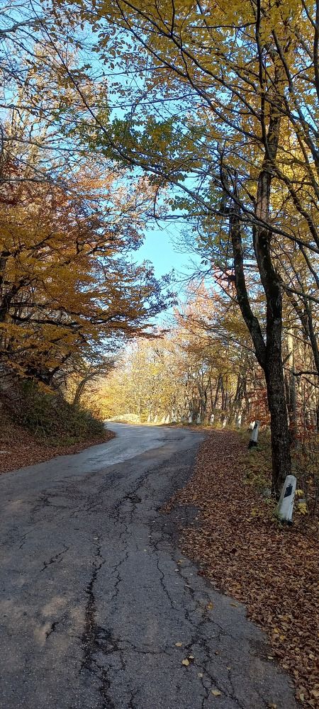 Фотография автора Татьяна Нарайкина
