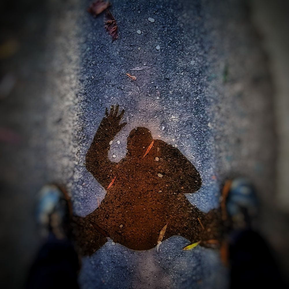 Отражение в луже