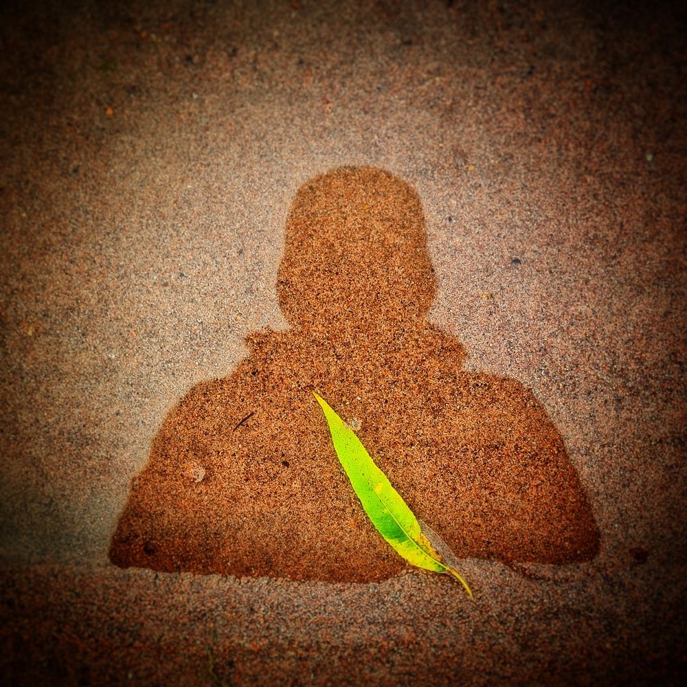 Отражение в реке