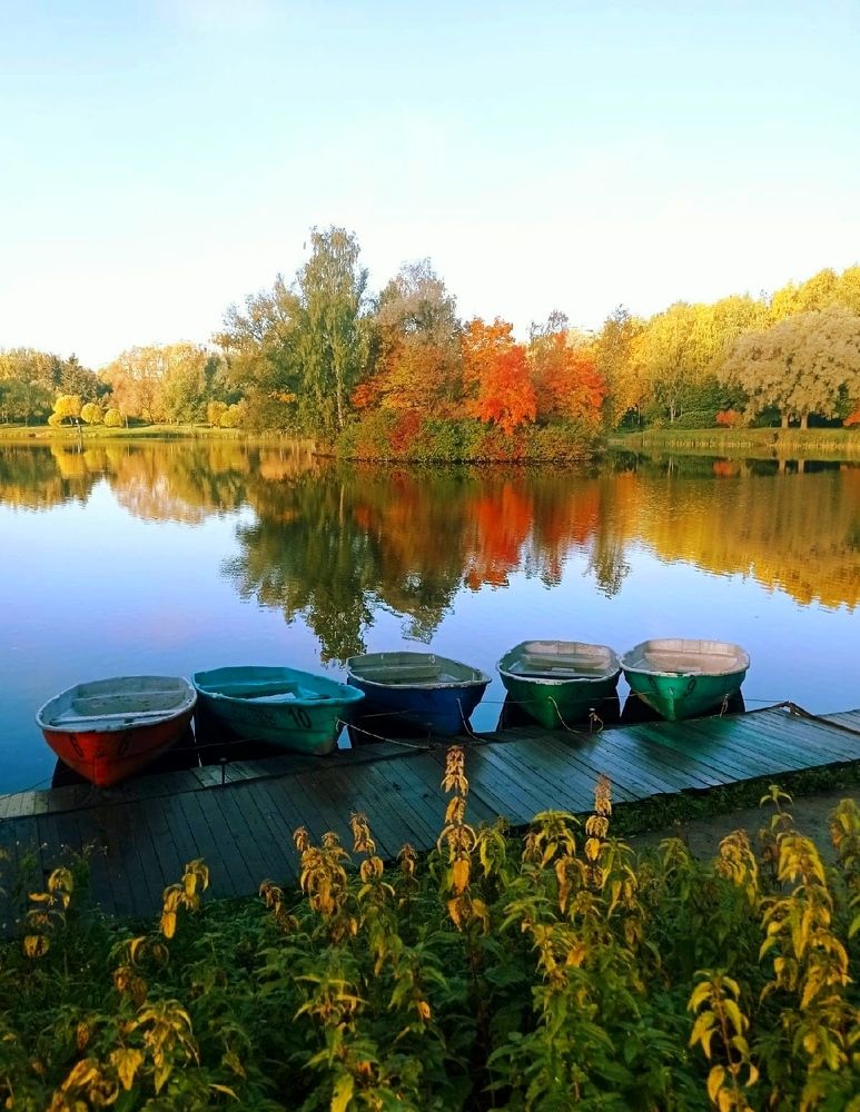 Photograph by Надежда