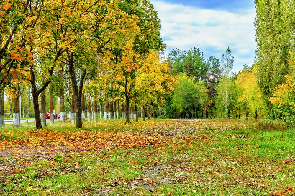 Осенним утром октября..