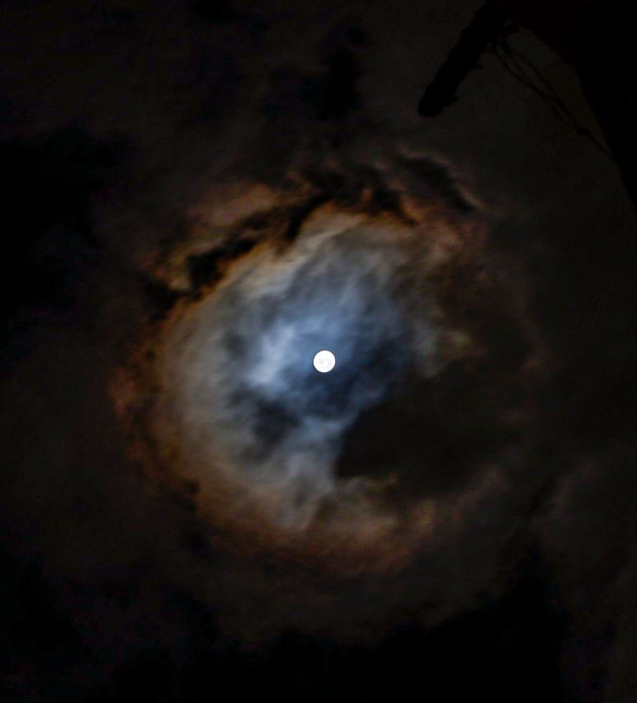 Photograph by Mahmoud Mohamed