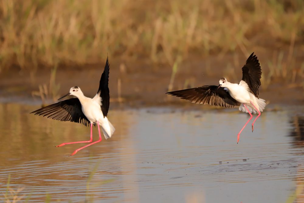 Photograph by Алексей