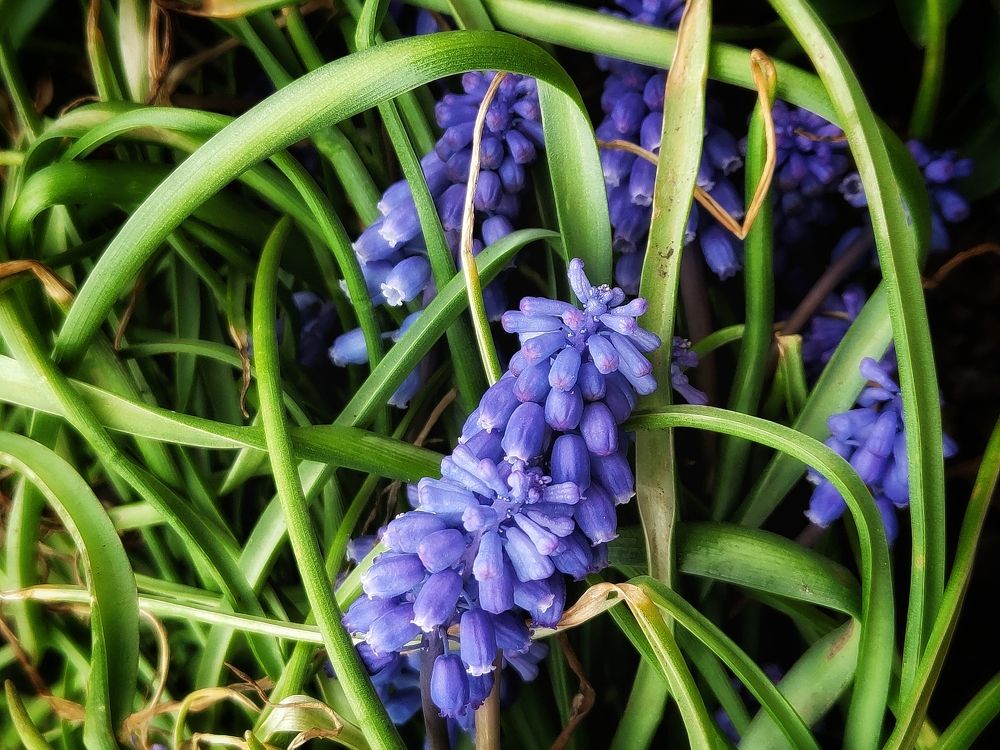 Фотография автора Ольга Игуменова