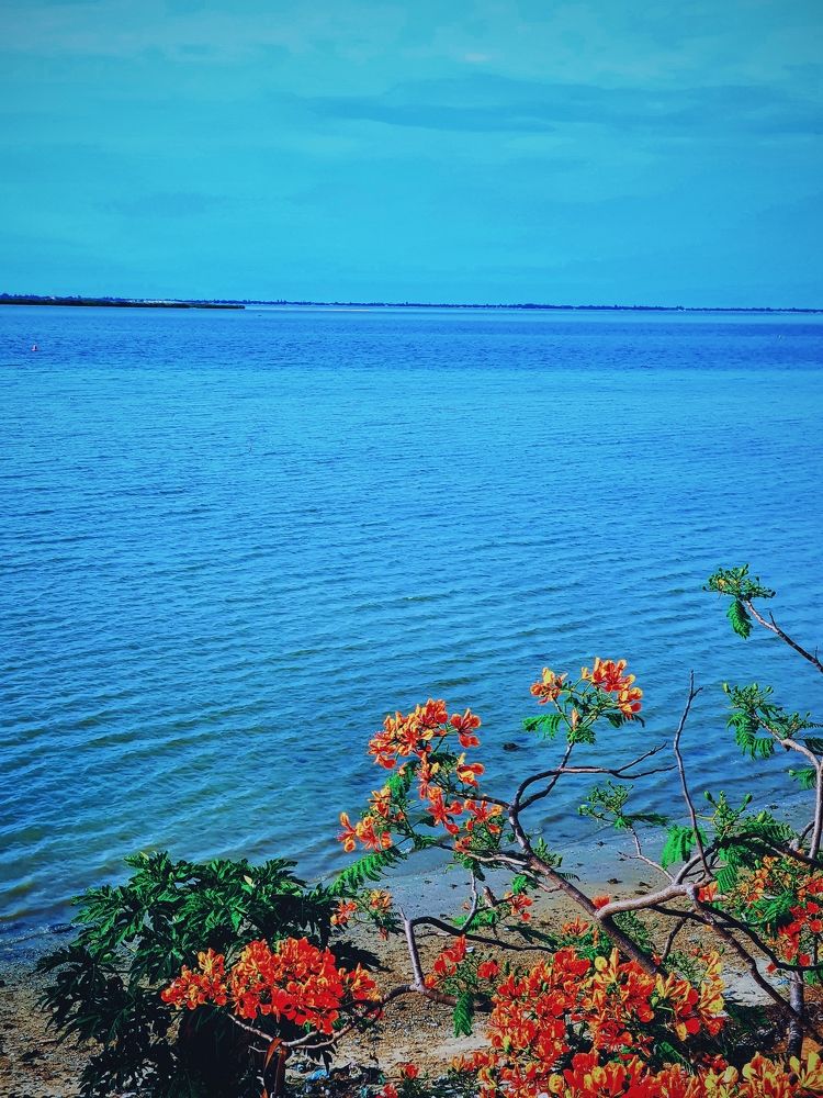 Photograph by Afro Brown