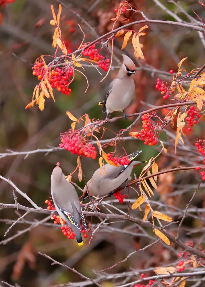 Photograph by Алексей