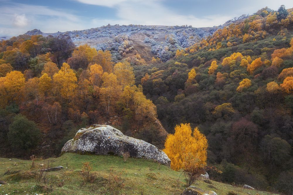Photograph by Овсенёв Александр