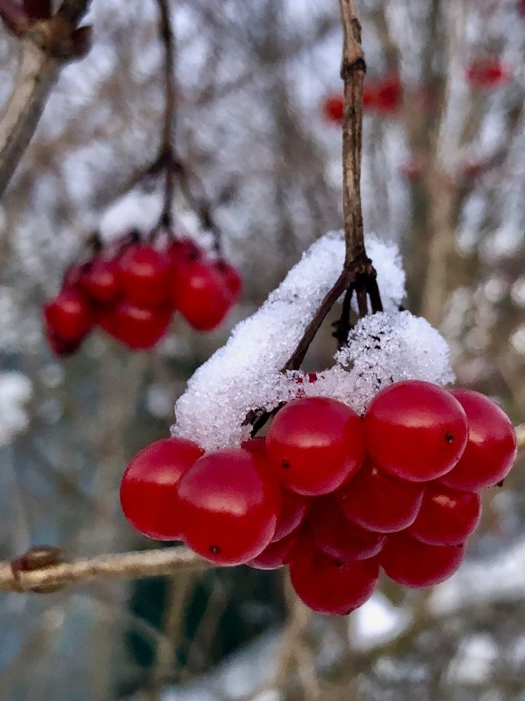 Photograph by Елена Шкред