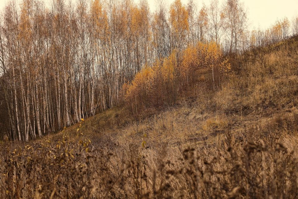 Photograph by Елена Одынец