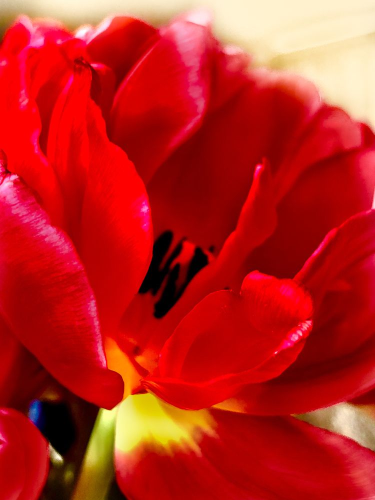 Photograph by Елена Шкред