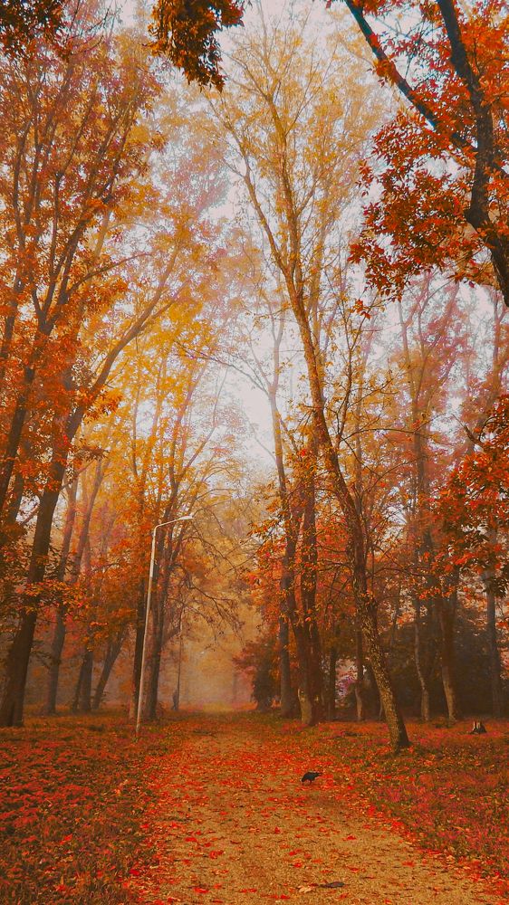 Photograph by Татьяна Слободчикова