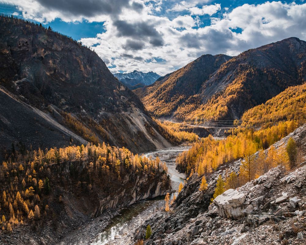 Фотография автора Анастасия