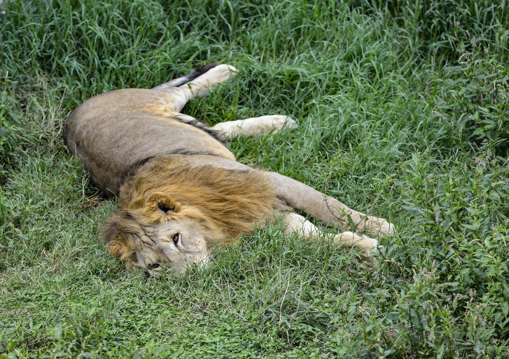 Photograph by Юрий Бичеров