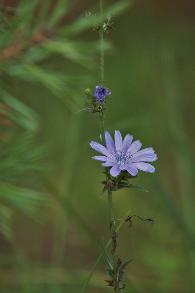 Photograph by Анастасия Рысь