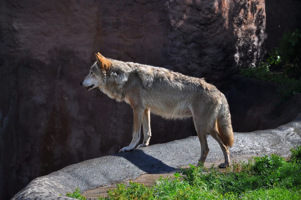 Photograph by Юрий Бичеров