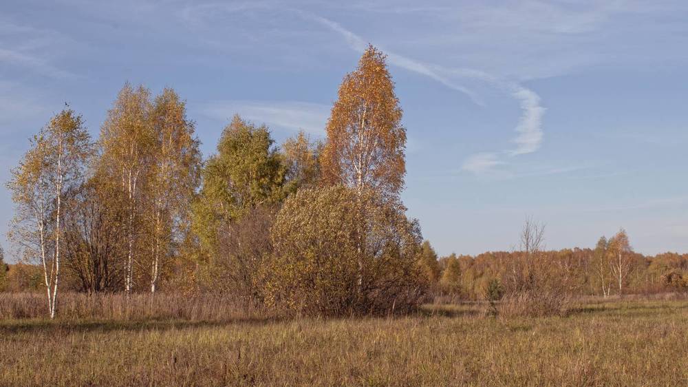 Photograph by Николай Чичерин