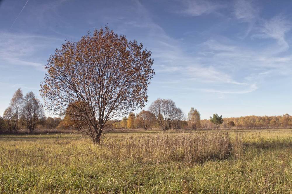 Photograph by Николай Чичерин