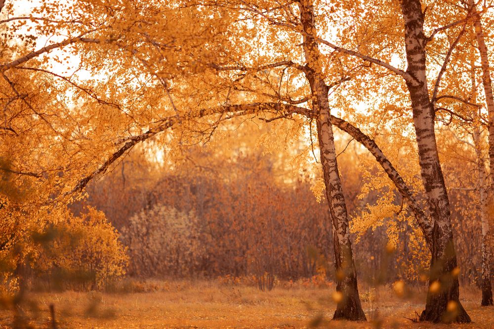 Photograph by Антон Чепуркин