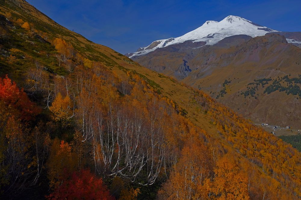 Photograph by Дмитрий Руденко