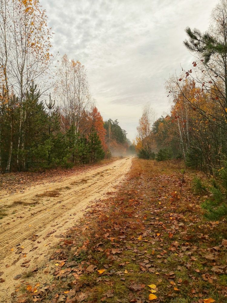 Photograph by Леонид