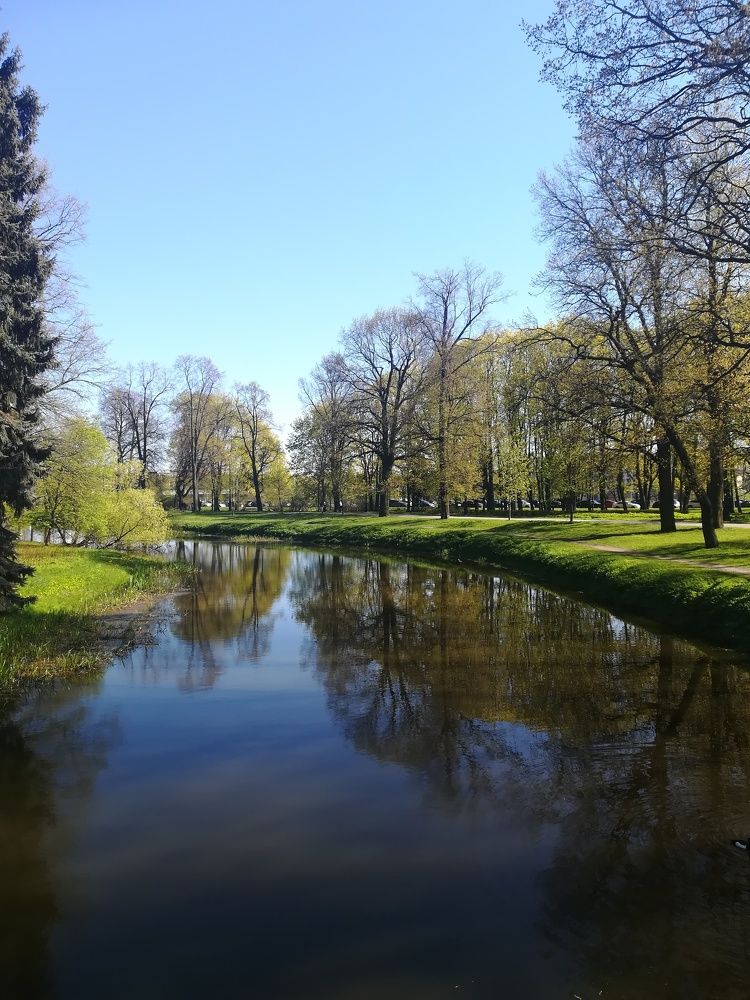 Photograph by Елизавета