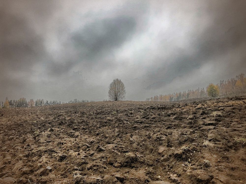 Один в поле не воин.