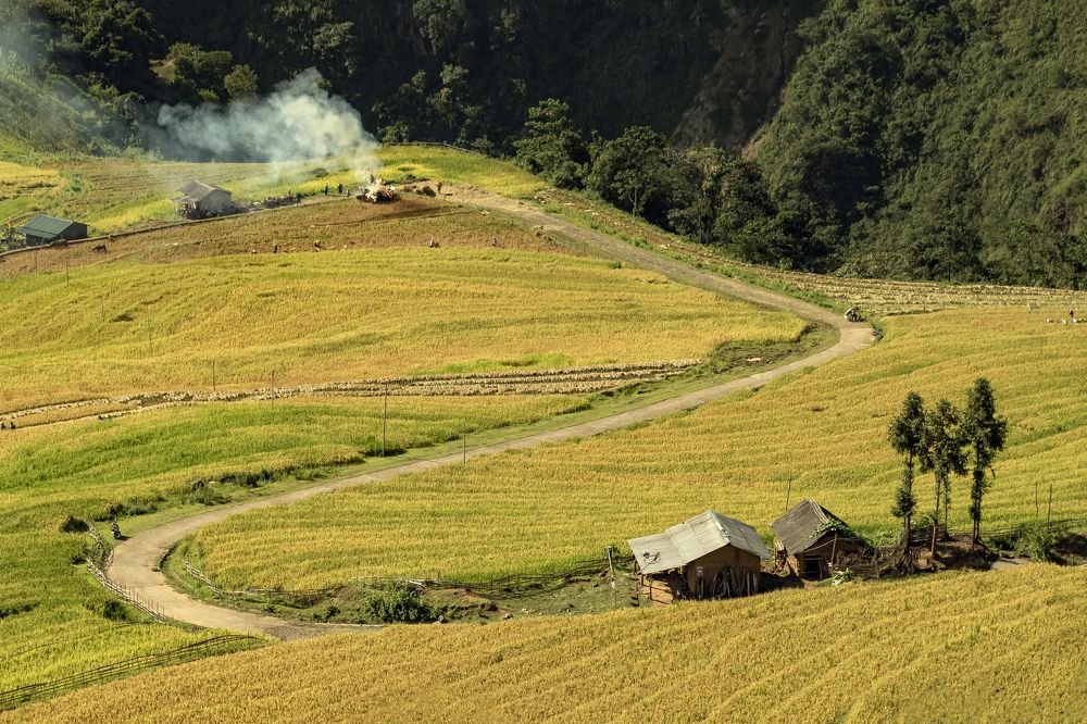 Photograph by Sắc Thừa