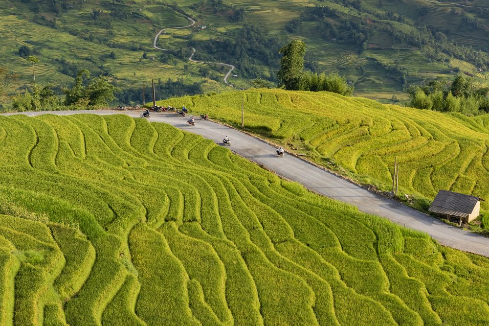 Photograph by Sắc Thừa