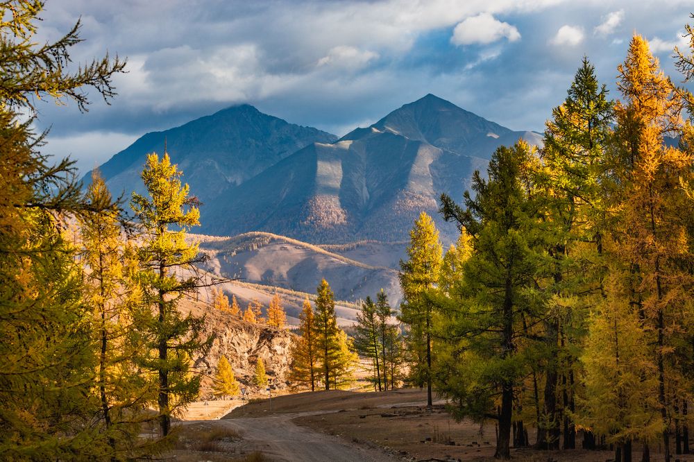 Фотография автора Анастасия