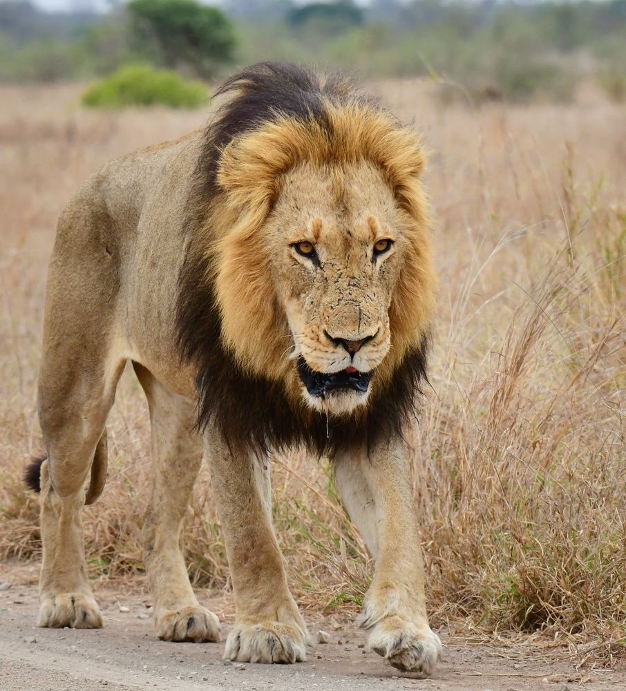 Photograph by Michelle Storm