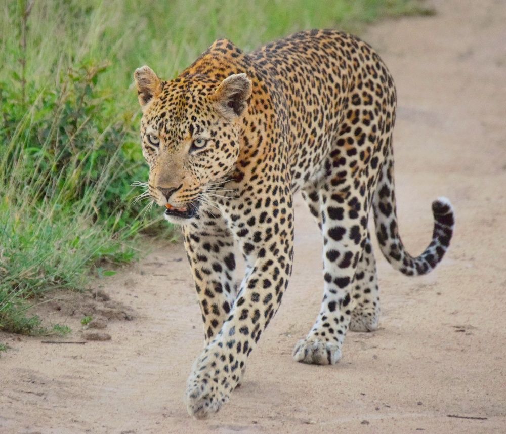 Photograph by Michelle Storm