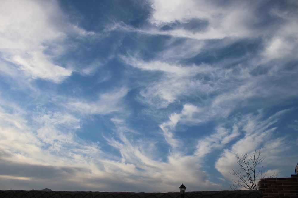 Photograph by safoura asghari