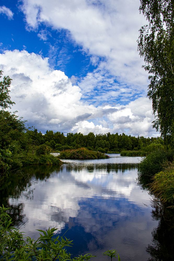 Photograph by Дмитрий Селицкий