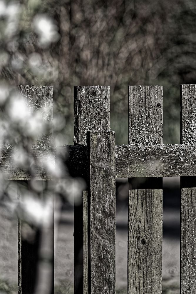 По эту сторону ...