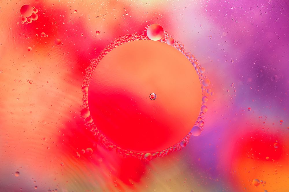 Фотография автора Елена Ельшина