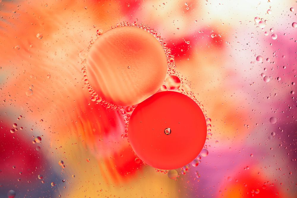 Фотография автора Елена Ельшина