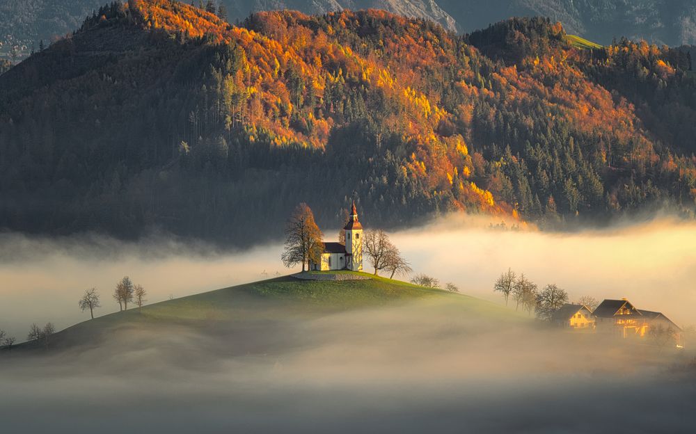 Photograph by Adrian Adi Gli