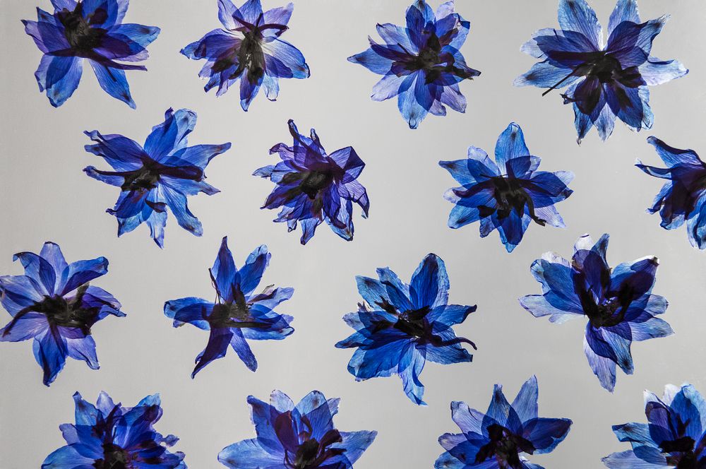 Photograph by Мария Купревич