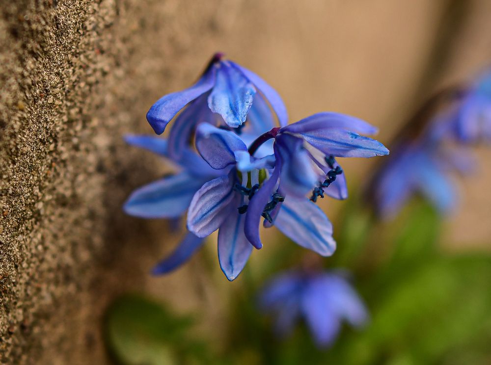 Photograph by Анастасия Донская