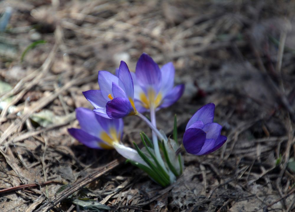 Photograph by Екатерина Крючкова