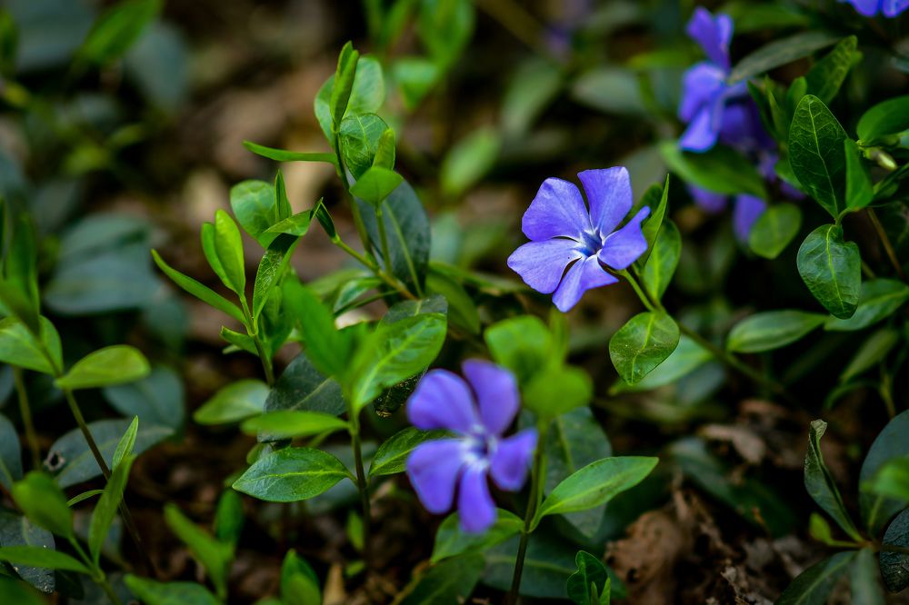 Photograph by Анастасия Донская