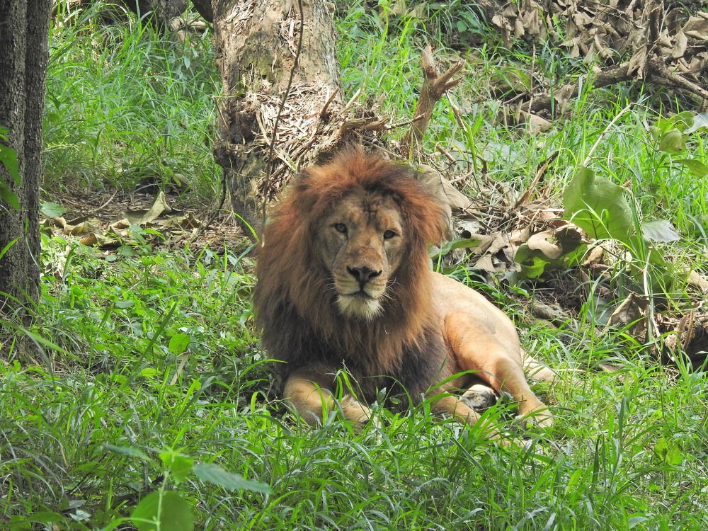 Photograph by Pragna Swaroop