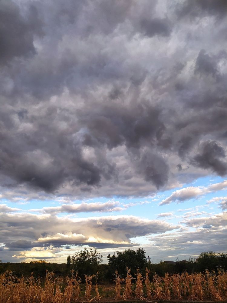 Буря мглою небо кроет...